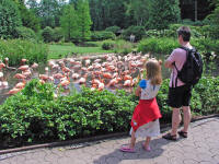 »Vogelpark Walsrode«, Niedersachsen