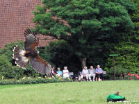 »Vogelpark Walsrode«, Niedersachsen