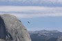 Rovfugl ved Half Dome set fra Glacier Point (N37º 43.631' W119º 34.568'), Yosemite National Park (20070603_0066).