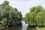 Udsigt fra turen med Riverboat Georgina på River Cam, Cambridge, Cambridgeshire (20100701_0013).