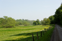 Fyledalen, maj 2011