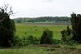 Billebjer mellem Lund og Dalby, et lille udsigtsbjerg i et flot og særpræget landskab (20110520_0024).