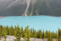 Peyto Lake, Jasper, Canada.