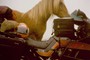 Hest og MC i Pyrenærerne, Frankrig, juli 1988.
Horse and motorbike in the Pyrenees, France, July 1988.