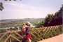 Udsigt over Sommefloden, Péronne, Frankrig, juli 2001.
View over River Somme, Péronne, France, July 2001.
